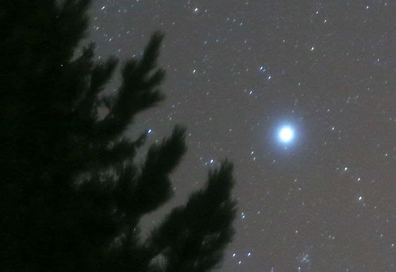 Featured image of post 天狼星计划
